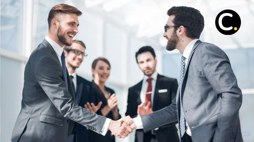 Public Limited Company